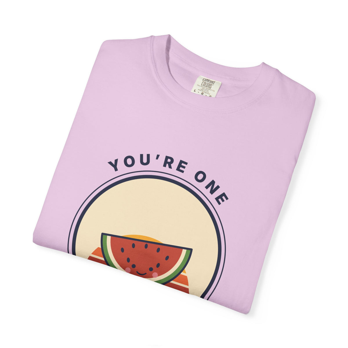 You're One In a Melon T-Shirt — Cute Watermelon Pun Graphic Tee