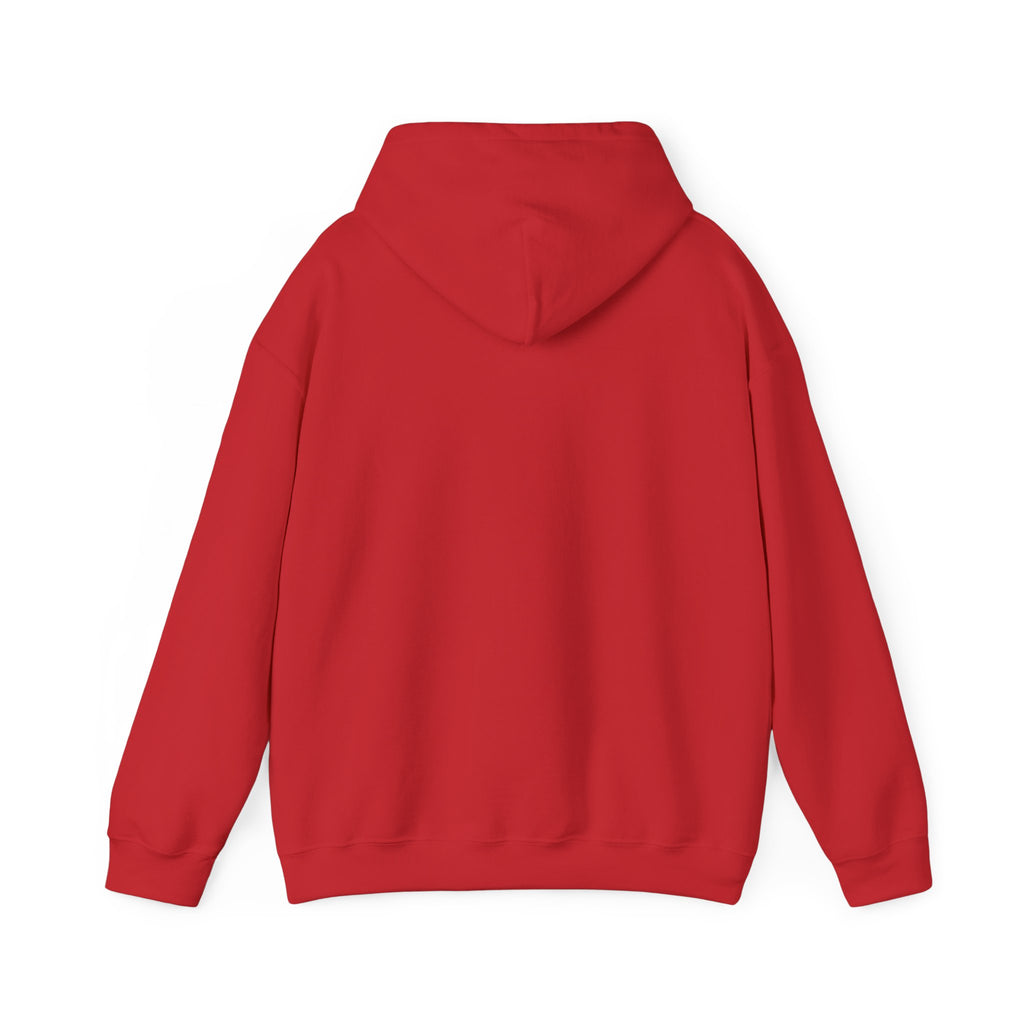 Jets Sunset Hoodie — "Cool Your Jets" Retro Airplane Graphic