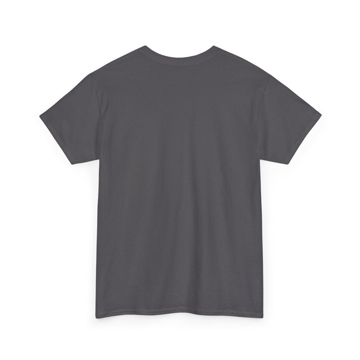 Golden Ratio T-Shirt — Fibonacci Spiral Math Graphic Tee