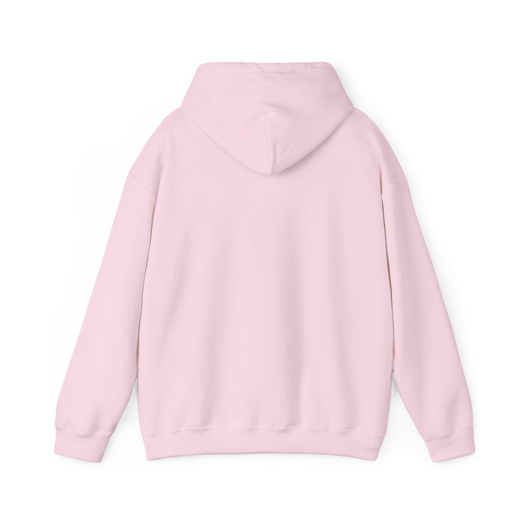 Jets Sunset Hoodie — "Cool Your Jets" Retro Airplane Graphic
