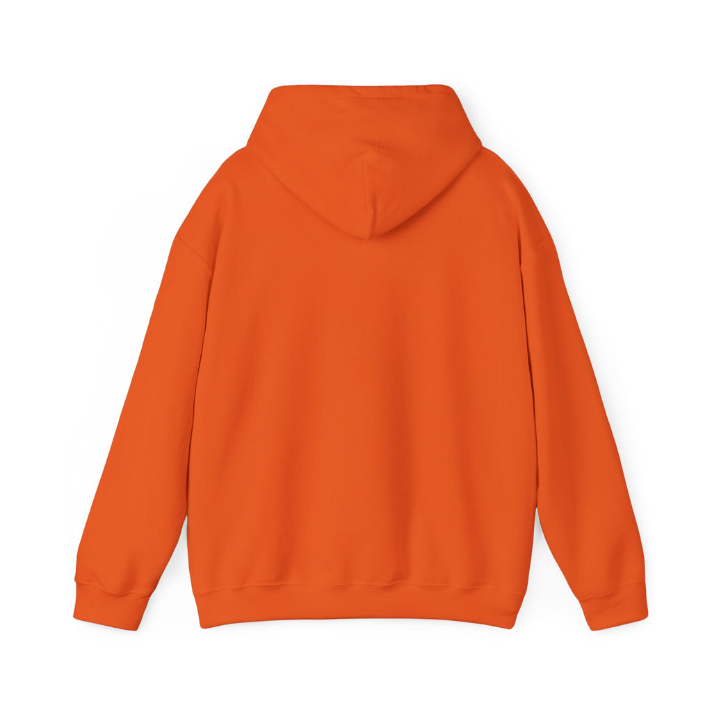 Hoodie — "Human Being, Not Human Doing" Retro Sunset Graphic