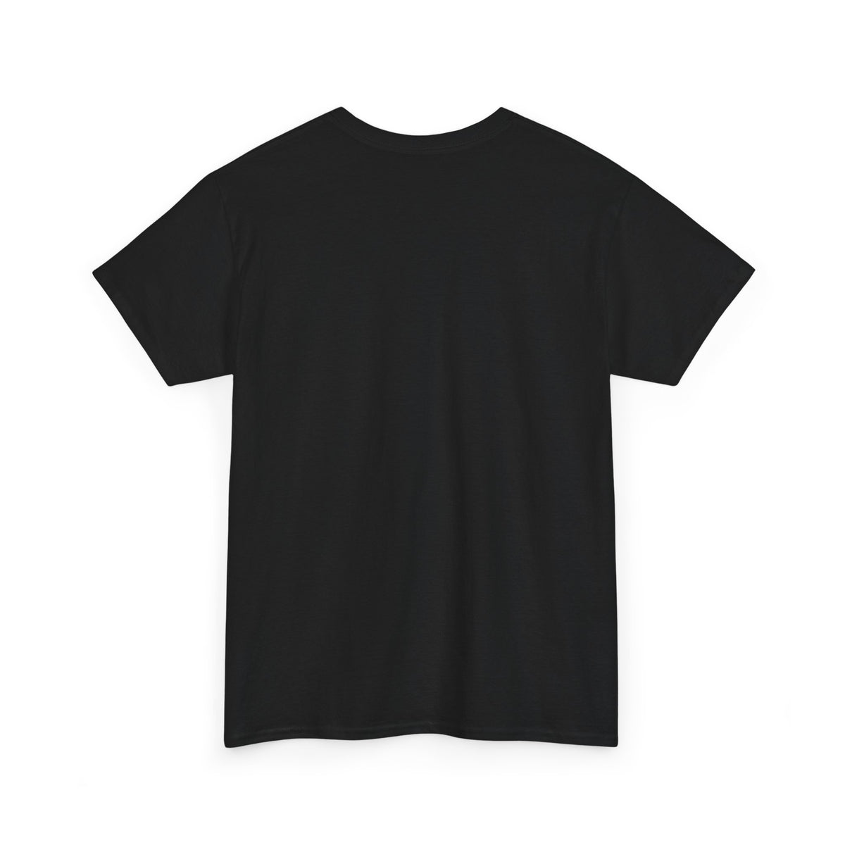 Golden Ratio T-Shirt — Fibonacci Spiral Math Graphic Tee