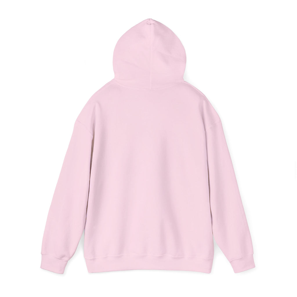 Jets Sunset Hoodie — "Cool Your Jets" Retro Airplane Graphic